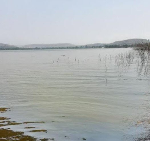 Pimpalgaon Lake, Ahmednagar, Maharashtra - Vushii.com Pimpalgaon Lake, Ahmednagar, Maharashtra - Vushii.com